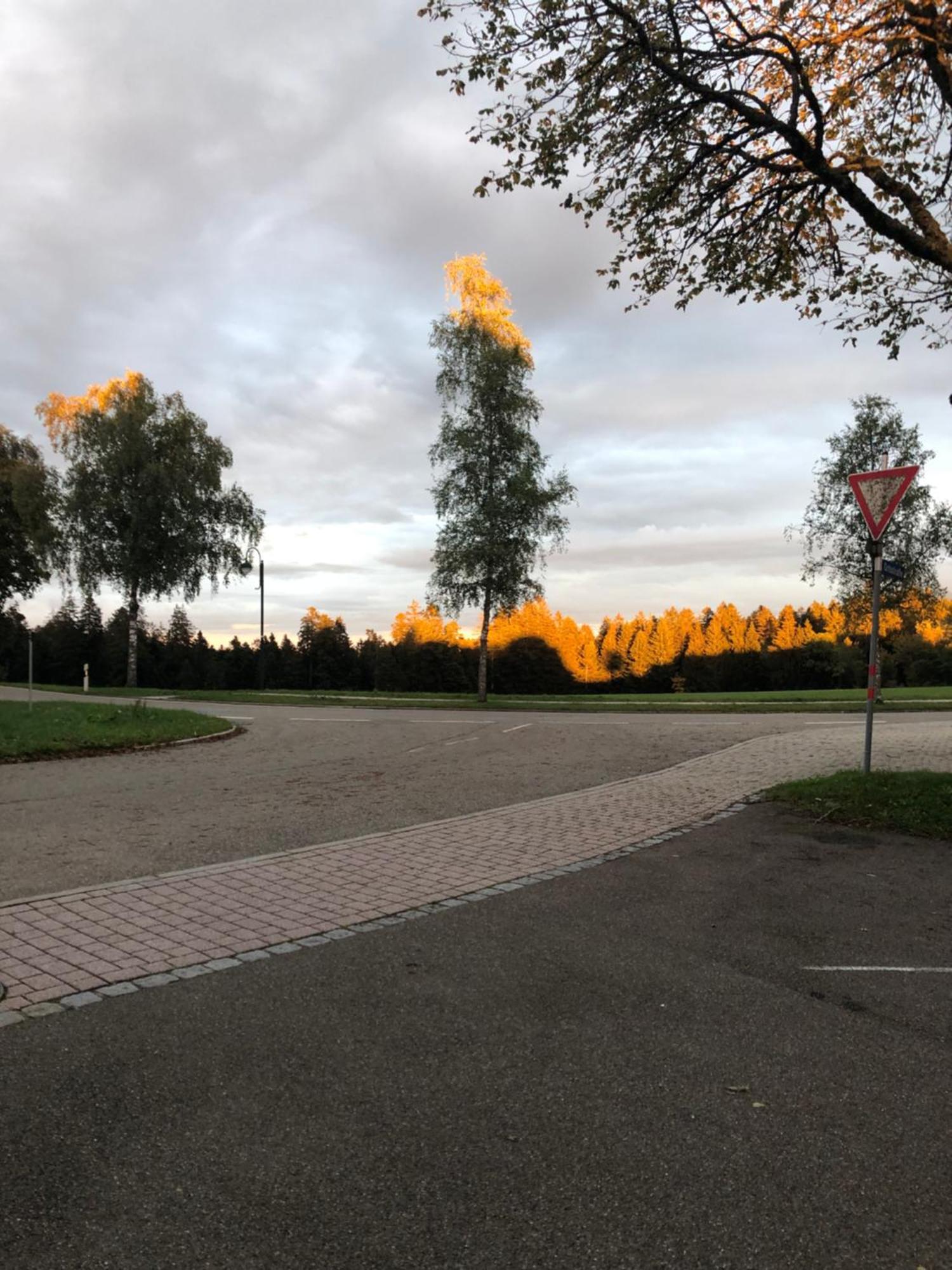 Solhof-schoemberg Мини-отель *